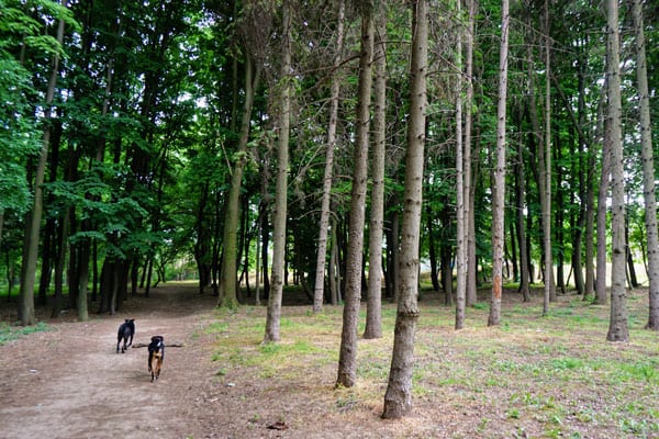 Hikes in Sremski Karlovci