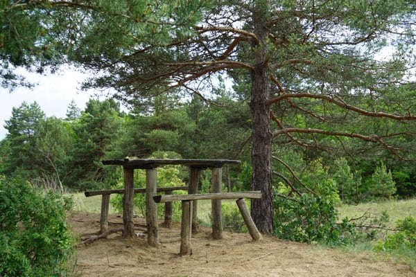 Picnic table in Deliblatska Peščara Special Nature Reserve