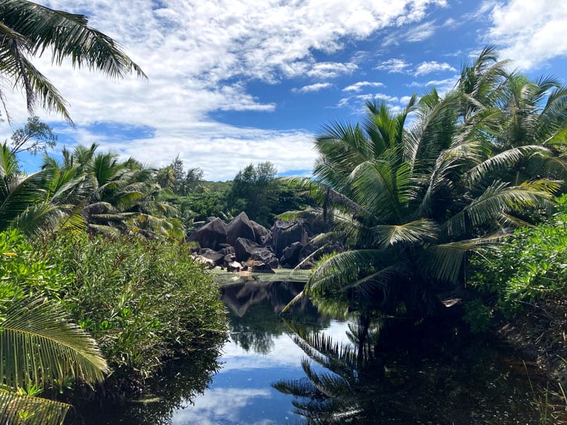 Pond in Anse Caiman Trail in La Digue