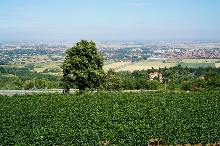 View from Mataj Winery