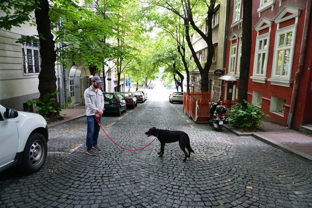 Mike and Piper in Dorcol