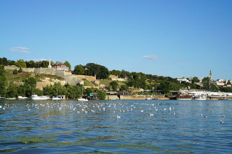 Belgrade from the Sava River