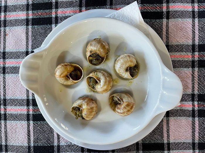 Snails in West Serbia