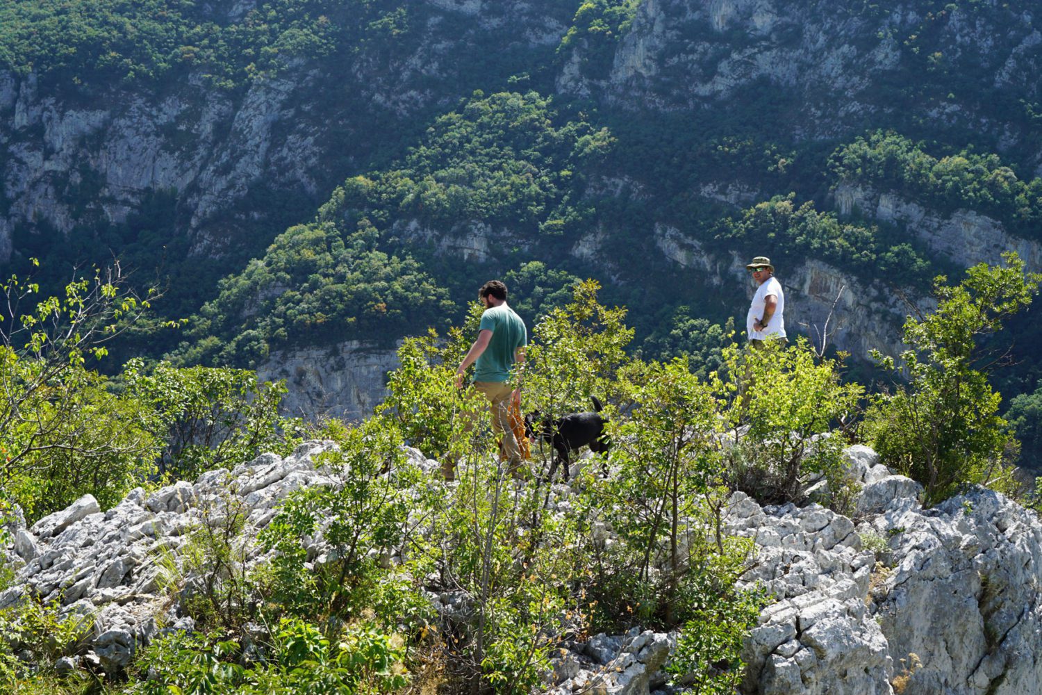 View of Sicevo Gorge