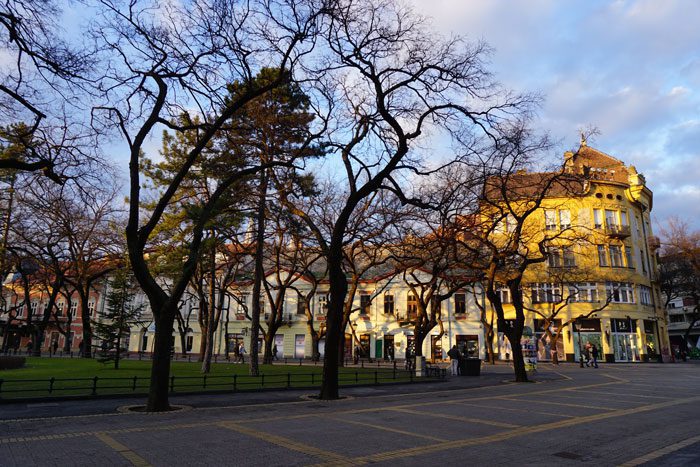 Buildings and trees in Subotica