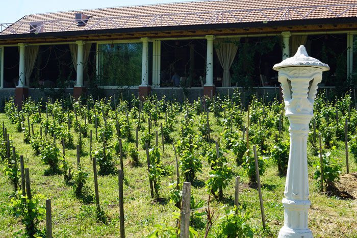 Malca Winery