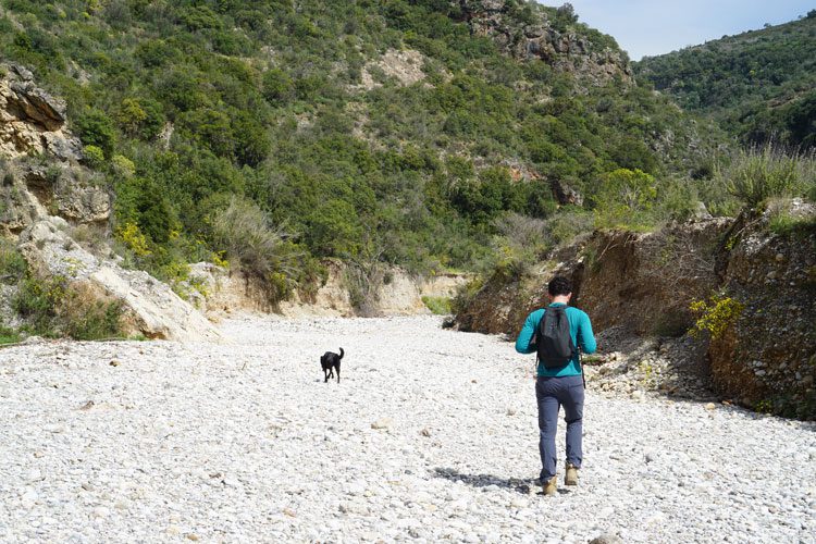 Stroll Through Rindomo Gorge