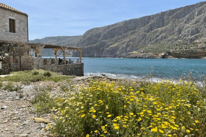 Flowers and Ocean in Gerolimenas