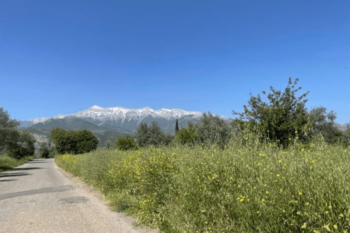 View of Mount Taygetus