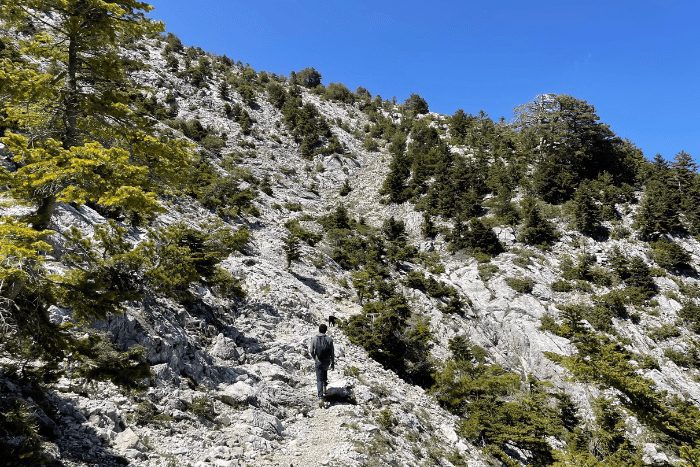 Hike to Profitis Ilias summit
